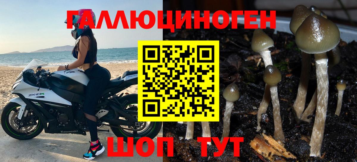 Псилоцибиновые грибы MAGIC MUSHROOMS Вязьма