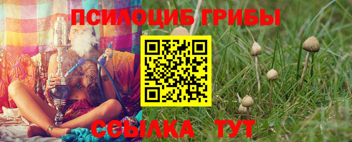 Псилоцибиновые грибы мицелий  Галлюциногенные грибы MAGIC MUSHROOMS  Вход с VPN  Вязьма 