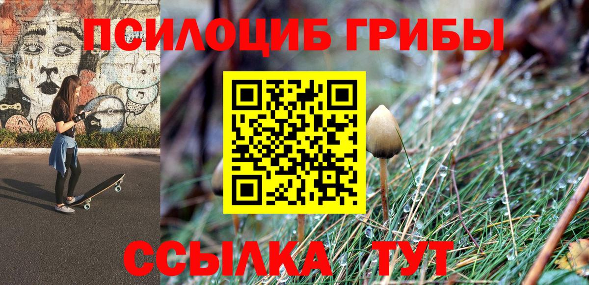 ГАШИШ Вязьма