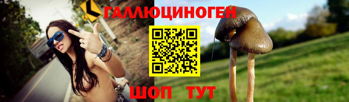 Псилоцибиновые грибы Cubensis  Вязьма 